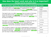 Fill in the blanks - Circulatory system