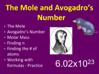 The Mole - Student Presentation