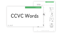 Lesson 1 CCVC Words 