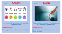 The Senses - Keywords