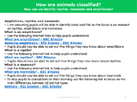 How can we identify reptiles, mammals and amphibians? - Teacher notes