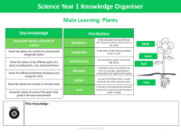 Knowledge organiser - Plants - Year 1