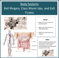 Body Systems - Bell Ringers Presentation