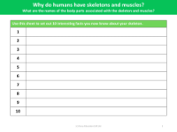 10 Interesting facts about your skeleton - Worksheet