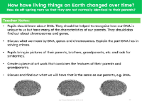 How do off-spring vary so that they are not normally identical to their parents? - teacher's notes