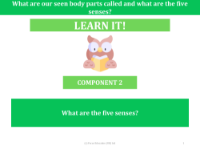 What are the five senses? - Presentation