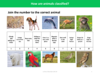 Picture match - Animals