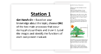 Photosynthesis - 7 Engaging Lab Stations