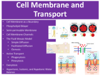 Cell Membrane and Transport - Student Presentation