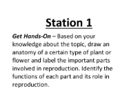 Lab Station Cards