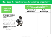 Cops and robbers - What do you know about the circulatory system?