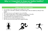 Who is the fittest in our class? - Investigation instructions