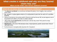 Amazon rainforest - Info sheet
