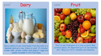 Food - Food Types Cards