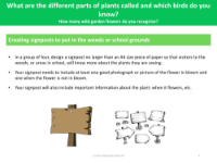 Create signposts to put in the woods or school ground - Activity - Year 1