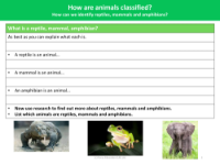What is a reptile, mammal, amphibian - Worksheet