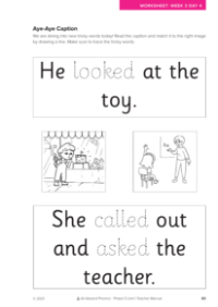 Aye-Aye Caption activity) - Resource - Worksheet