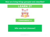 Who was Carl Linnaeus? - Presentation