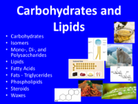 Carbohydrates and Lipids - Student Presentation