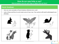 Hand Shadows - Activity - Year 6