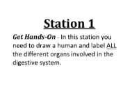 Lab Station Cards