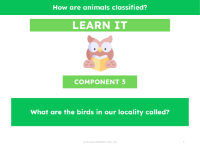 What are the birds in our locality called? - Presentation