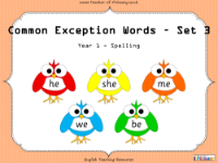 Common Exception Words - Set 3 - PowerPoint