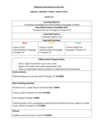 Skellig Lesson 15: Hot Seating - Lesson Plan