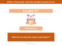 What do we mean by export and import? - Presentation