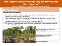 Deforestation - Info sheet