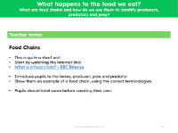 What are food chains and how we do use them to identify producers, predators and prey?  - Teacher notes