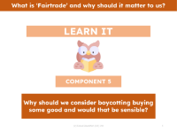 Why should we consider boycotting buying some good and would that be sensible? - Presentation