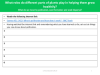 What do you know about pollination? - worksheet