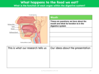 Mouth - Research sheet