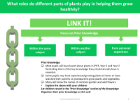 Link it! Prior knowledge - Plants - Year 3