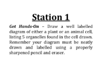 Lab Station Cards