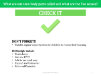 Check it! - Body Parts - Kindergarten
