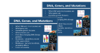 DNA, Genes, and Mutations - Middle School