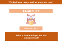 What is the ozone layer and why is it important? - presentation