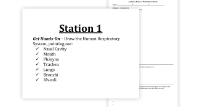 The Human Respiratory System - 7 Engaging Lab Stations