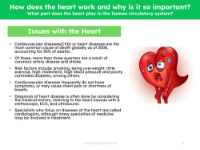 Issues with the heart - Info sheet