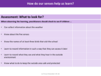 Assessment - How do our senses help us? - EYFS