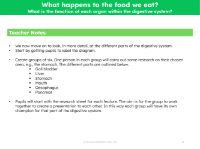 What is the function of each organ within the digestive system? - Teacher notes