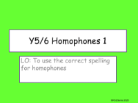 Homophones 1 Presentation