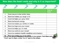 True or False - Exercise