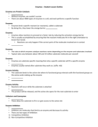 Enzymes - Student Lesson Outline