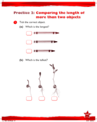 Work Book, Comparing the length of more than two objects