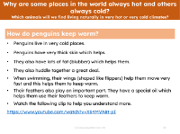 How do penguins keep warm - Info sheet