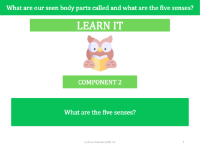 What are the five senses? - Presentation