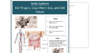 Circulatory System